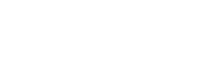 PUPPY LOVE PET CARE COMPANY, LLC
