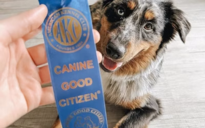 Is Your Dog a Good Citizen? “Canine Good Citizen” that is?