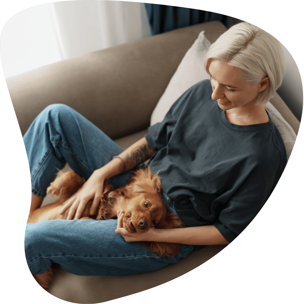 24 hour staycation puppy love pet sitting company owner